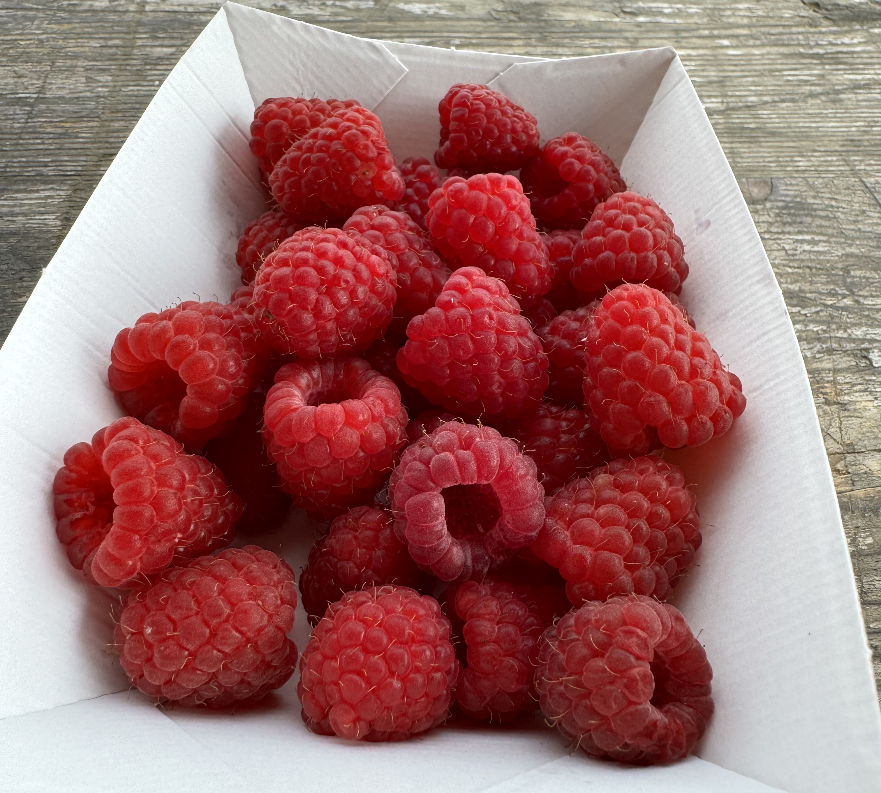 Framboises